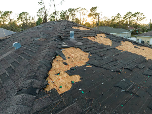 Best Asphalt Shingles Roofing  in Fairbury, IL